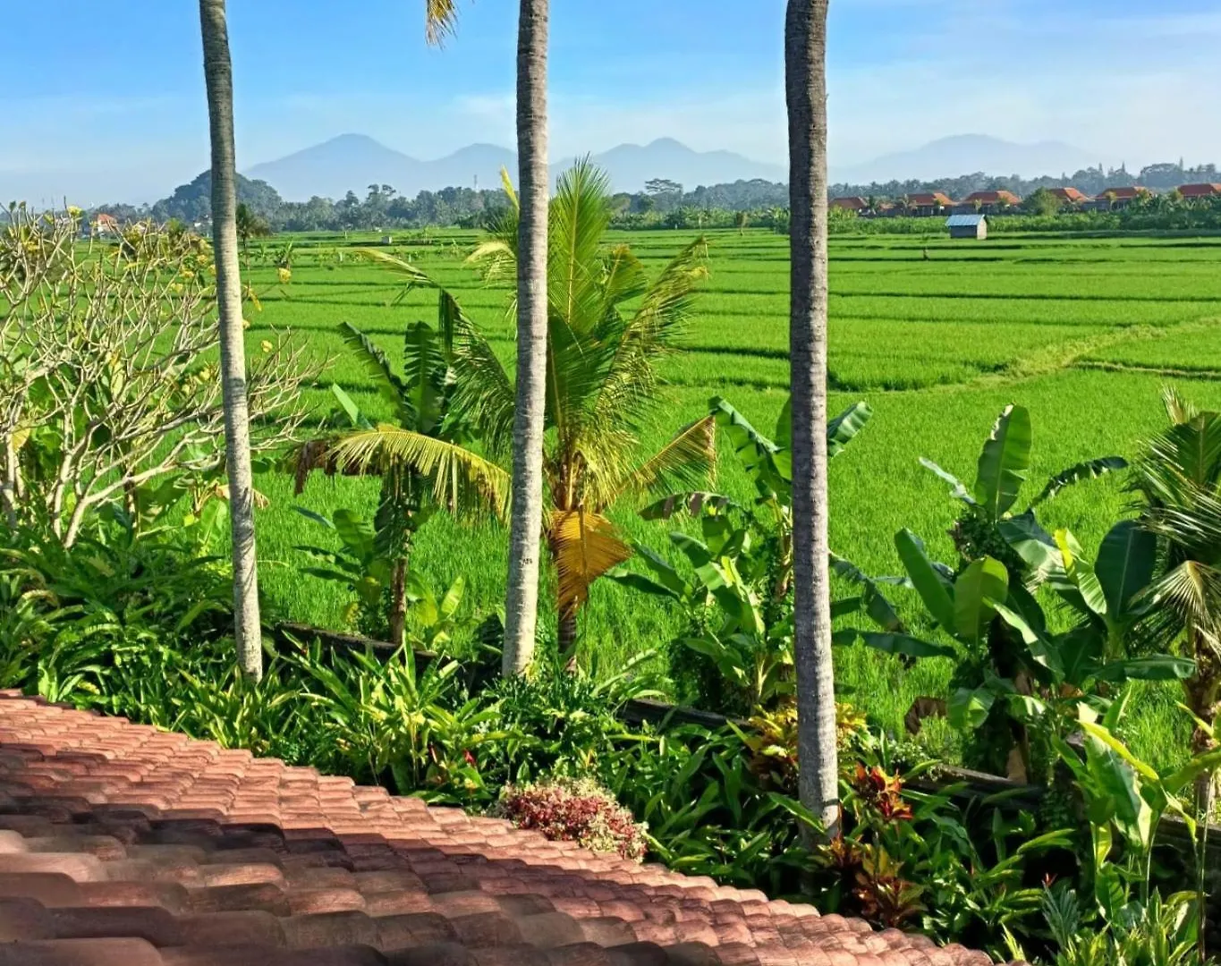 Runa House Of Design Ubud  Bed & Breakfast Ubud (Bali)